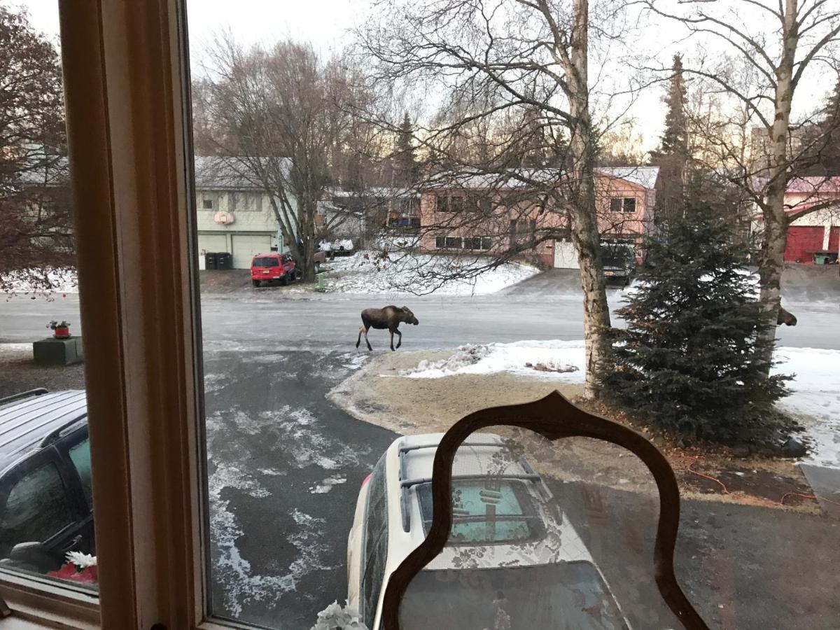 Alaska European Bed & Breakfast アンカレッジ エクステリア 写真